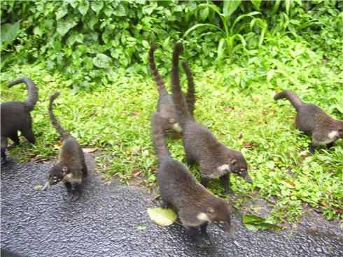 16864292_10210832998694148_7279836862234797115_n