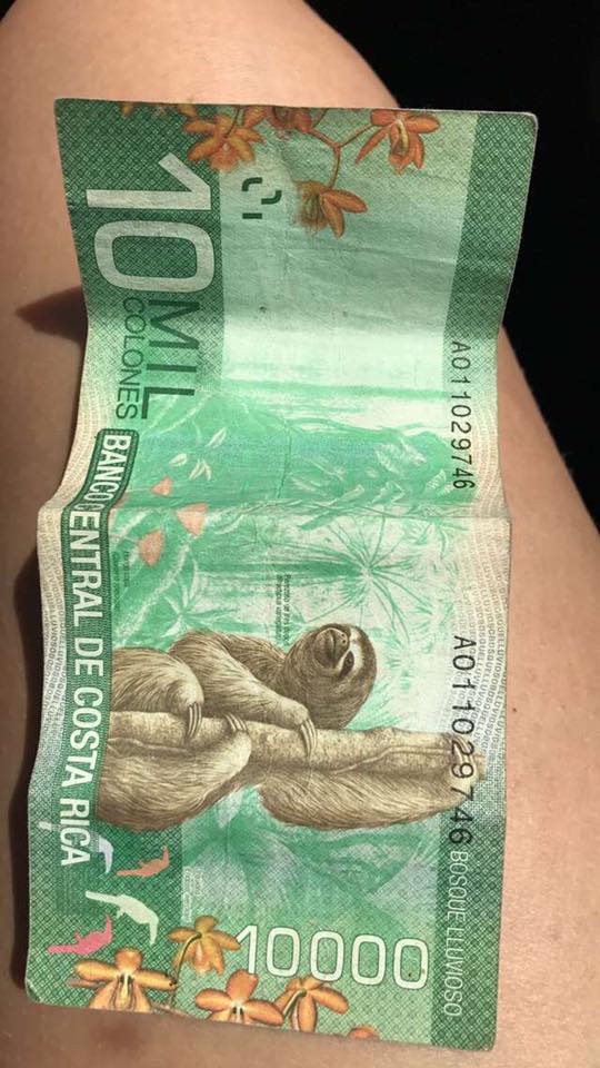 16998794_10210854117142096_4199822675342738357_n