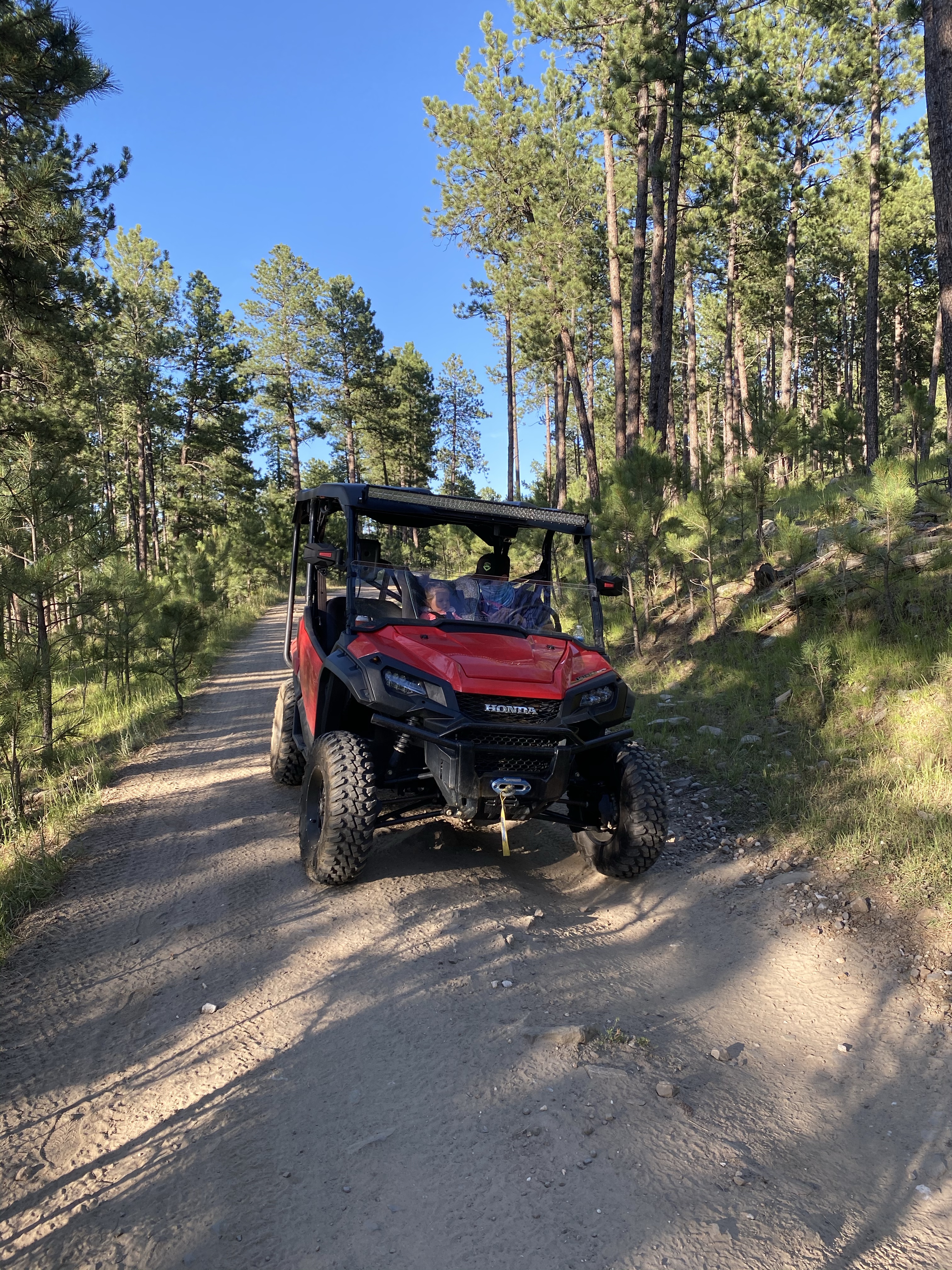 The Epic Black Hills | Traveler Joys